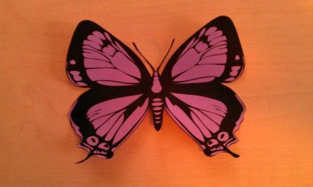 Mariposa