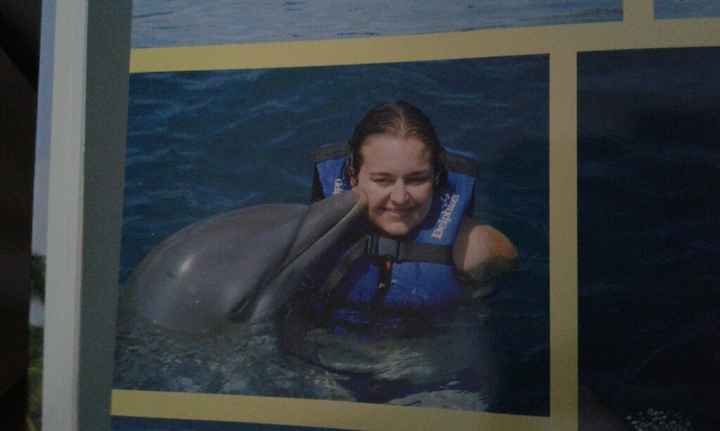 Nadar con delfines en riviera maya - 1