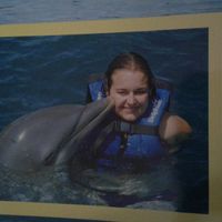 Nadar con delfines en riviera maya - 1