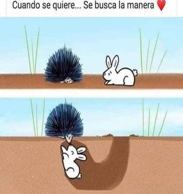 Imágenes de amor de parejas graciosas - 6