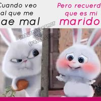 Imágenes de amor de parejas graciosas - 2