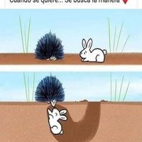 Imágenes de amor de parejas graciosas - 6