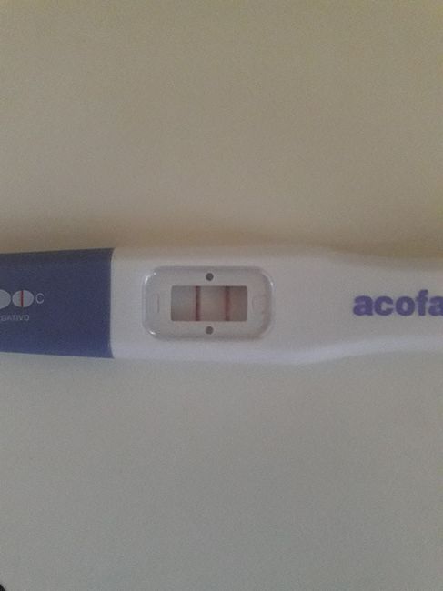 Los test de ovulaciÓn predicen el embarazo? - 1