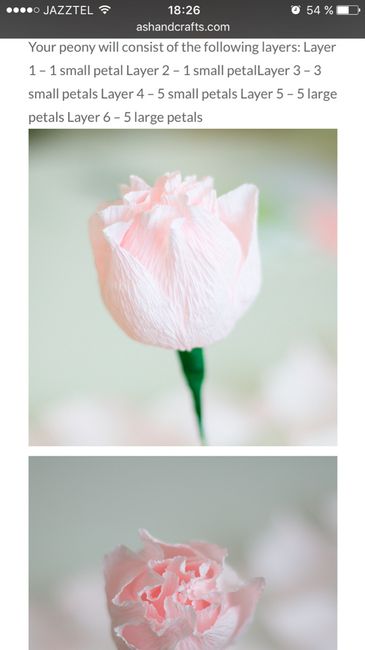 Ramo DIY de papel crepe - 1