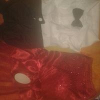Traje  perros - 1