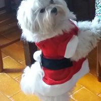 ¿Cómo se llama vuestra mascota? - 1