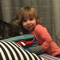 Mascotas en casa: ¿sí o no? - 1