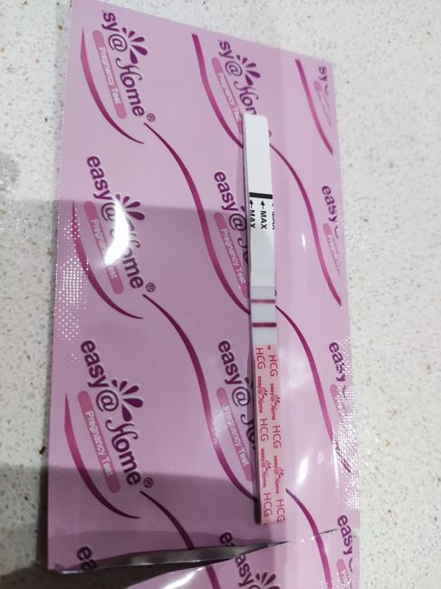 🍁🦃🍇 Buscadoras Noviembre 2025 🍇🦃🍁 1