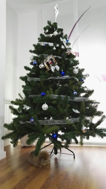  Nuestra última navidad como mi novio 😆 - 1