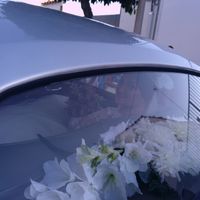 Fotos de mi boda - 6