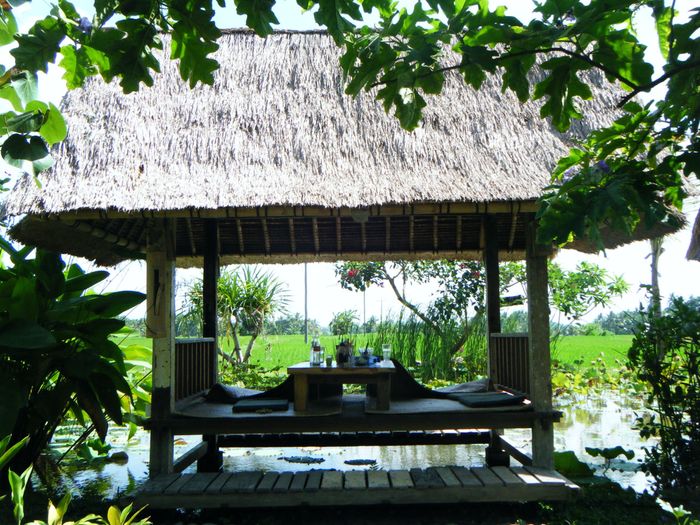 Bali por libre - 0