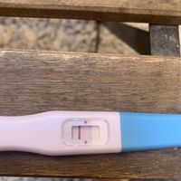 🌅 Buscadoras de Septiembre 2021🌅 - 1