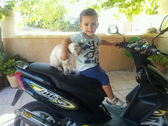 Nuestras mascotas!! - 2