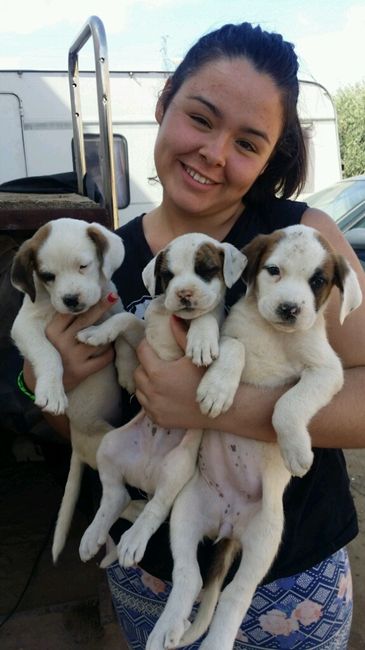 Nuestras mascotas!! - 3