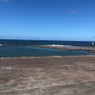 Rocío