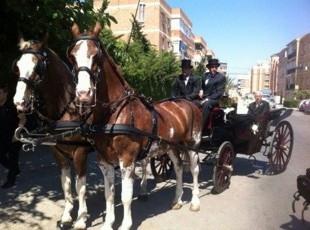 JUANJO Y AMPARO