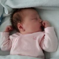 Nerea