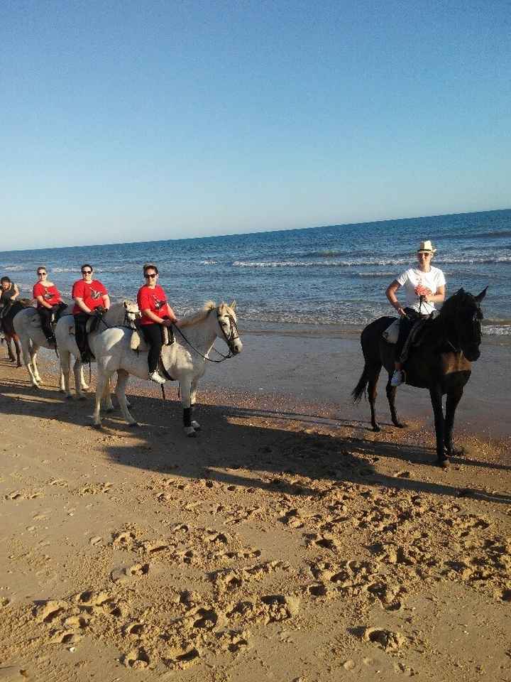 De vuelta a casa de la despedida de soltera! - 5