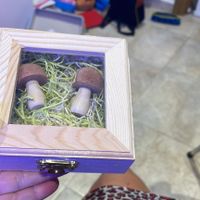 Anillos - 1