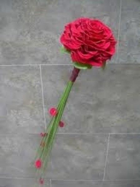 Ramo Eterno? - 3
