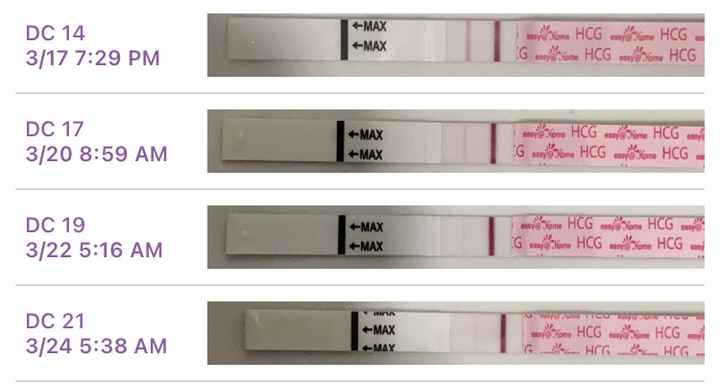 ia inseminacion artificial - 1