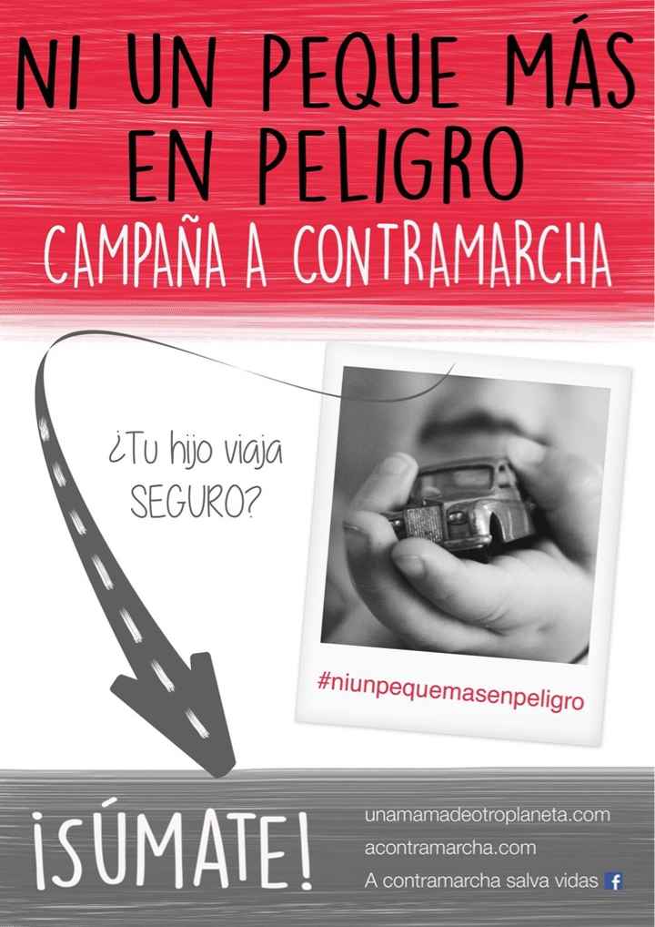 Ni un peque mas en peligro - sillitas de coche - 1