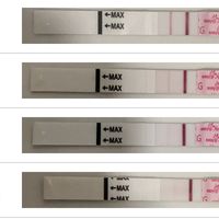 ia inseminacion artificial - 1