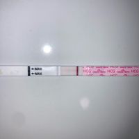 ia inseminacion artificial - 2