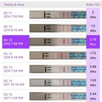 ia inseminacion artificial - 1