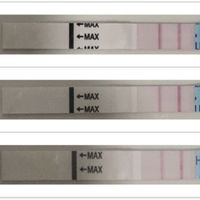ia inseminacion artificial - 2