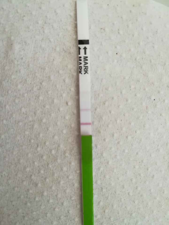 Test to de hoy