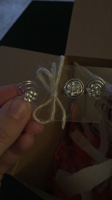 Kits ¿quieres ser mi dama de honor? - 2