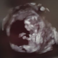 mamis noviembre 2019 oficial - 1