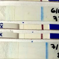 Test embarazo orina positivo super pronto 😅 - 2
