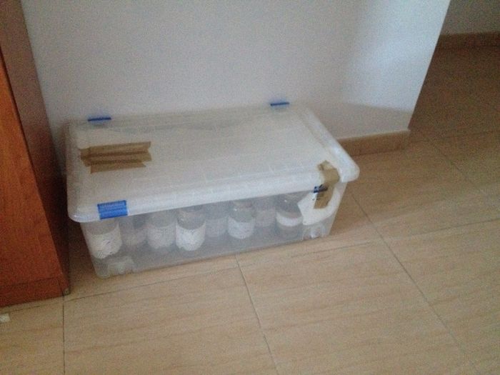 Preparado