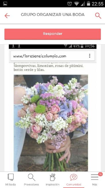 No sé qué ramo elegir... - 2
