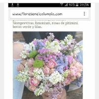 No sé qué ramo elegir... - 2