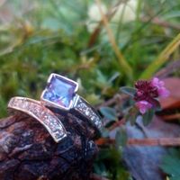 anillo
