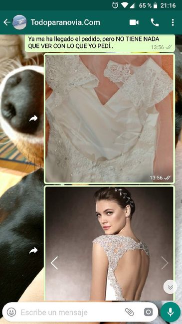 Alguien ha pedido vestidos en la pagina todo para novias? 1
