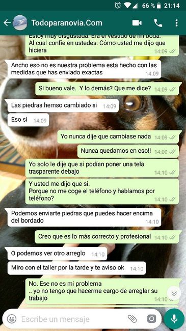 Alguien ha pedido vestidos en la pagina todo para novias? 2