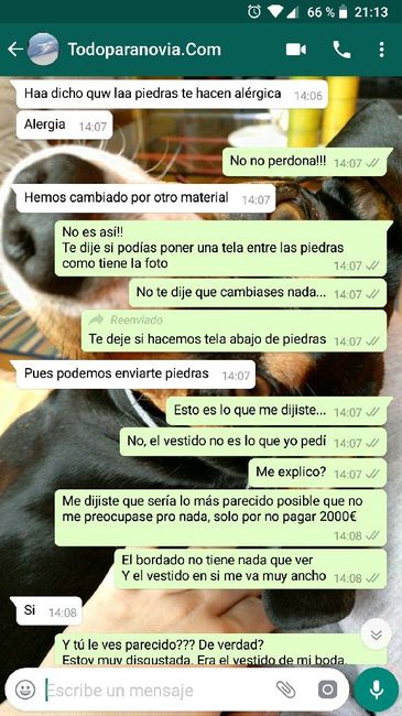 Alguien ha pedido vestidos en la pagina todo para novias? 3