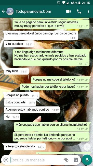 Alguien ha pedido vestidos en la pagina todo para novias? 4