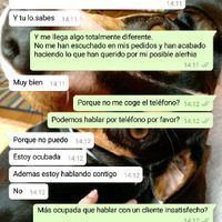 Alguien ha pedido vestidos en la pagina todo para novias? - 4