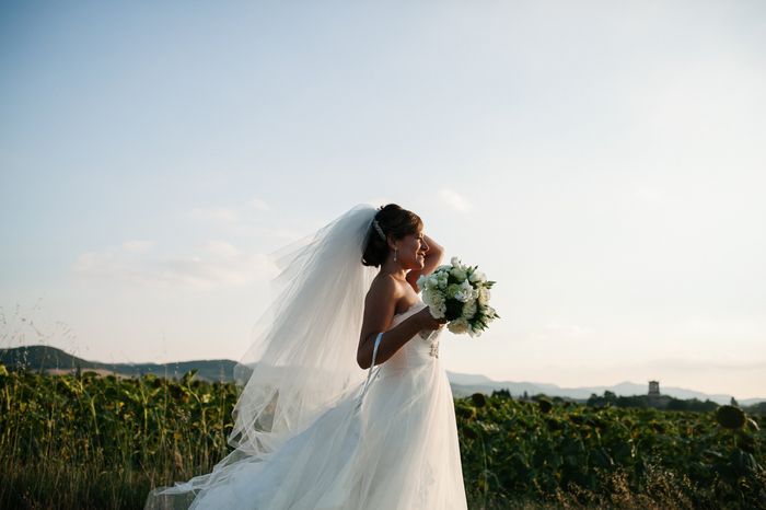 The Veil
