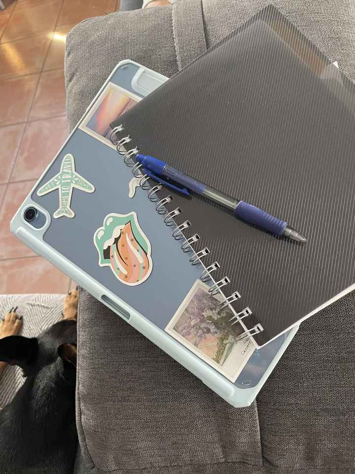 Organización de invitados 