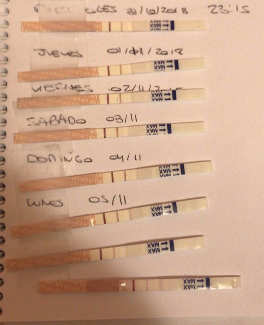 to primera semana