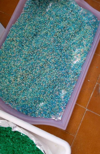 Teñir el arroz - 2