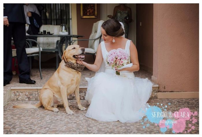 Boda :)