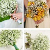 ¿Qué tipo de flores vais a llevar en el ramo? - 1