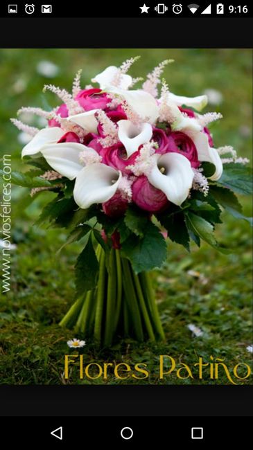 Sos ... ramo fucsia!! :) - 1
